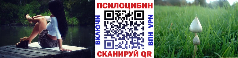 где купить наркоту  Кяхта  Псилоцибиновые грибы Psilocybine cubensis 