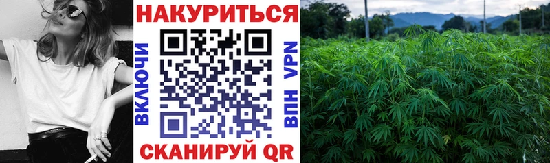 Марихуана MAZAR  ОМГ ОМГ зеркало  Кяхта  где можно купить  